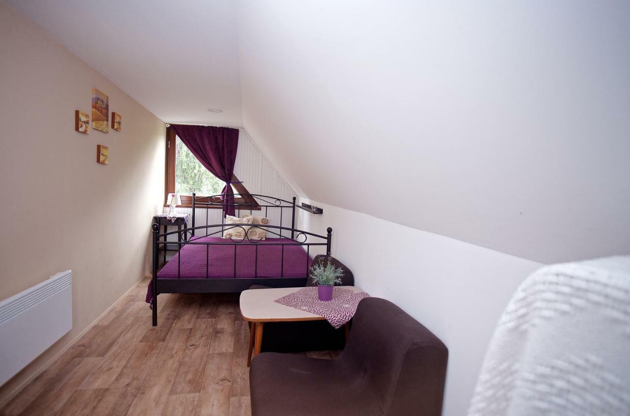 Vila Aranypart Vendeghaz - Tiszakécske Exteriér fotografie